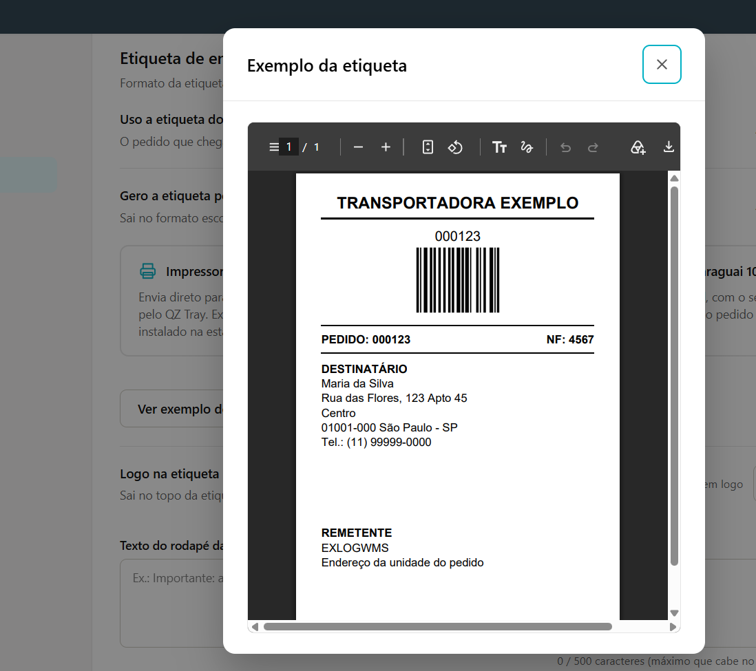Janela Exemplo da etiqueta mostrando o PDF do modelo 10 × 15 cm com transportadora, código de barras, número do pedido e da nota, destinatário e remetente